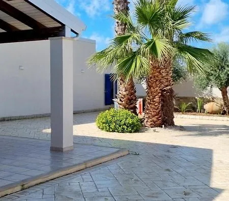 Judith فيلة شيكلي